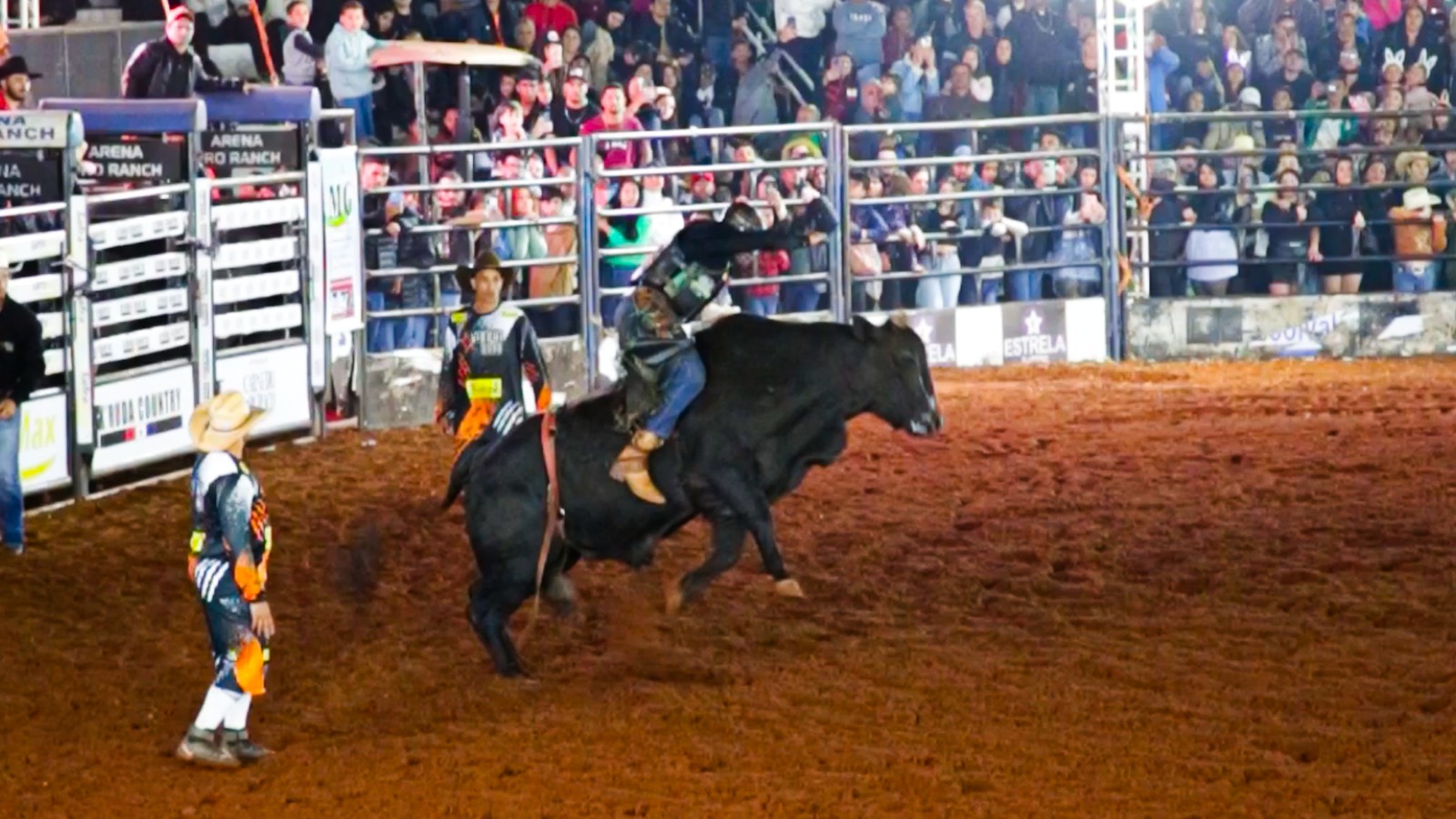 WhatsApp Image 2025-07-16 at 11.05.37