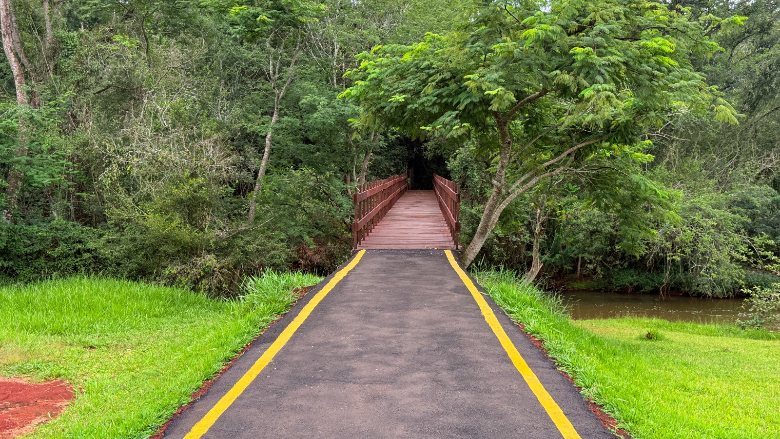 WhatsApp Image 2026-03-12 at 14.02.07