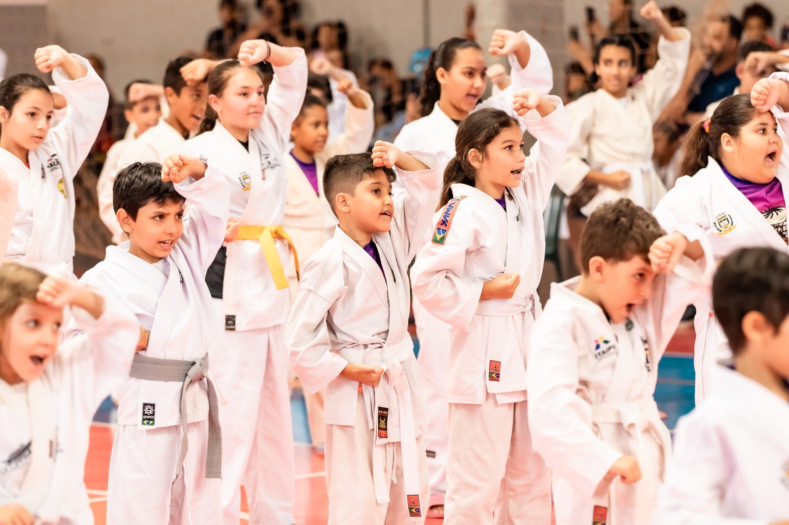 WhatsApp Image 2026-03-27 at 14.31.35