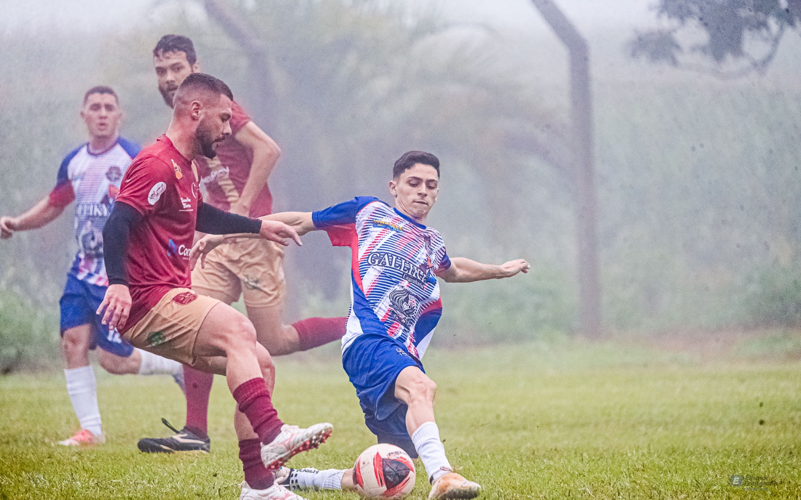 Foto Elismar Fotografias Esporitivas